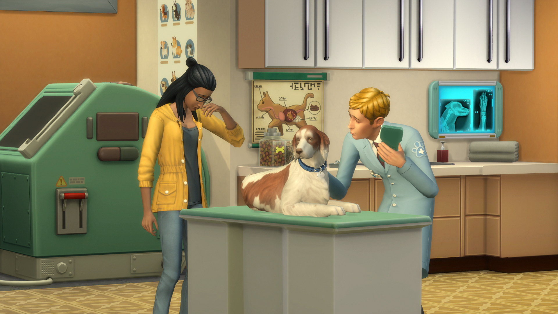 Ouvrez Votre Propre Clinique Vétérinaire Les Sims